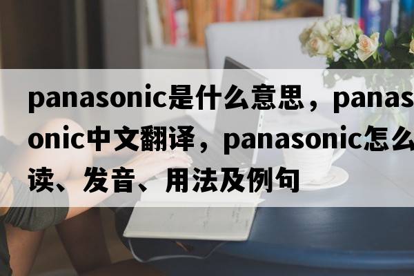 Panasonic是什么意思，Panasonic中文翻譯，Panasonic怎么讀、發(fā)音、用法及例句