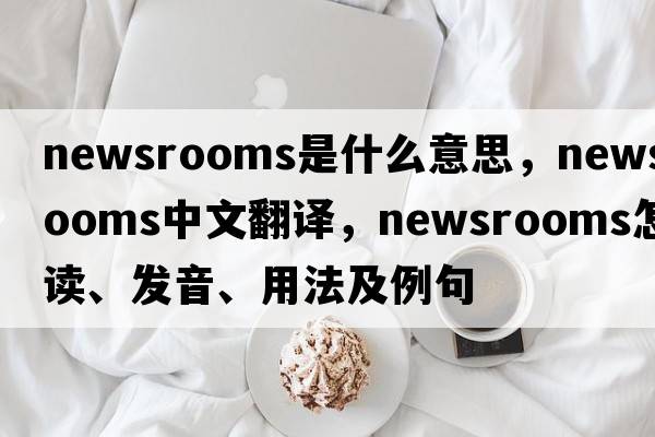 newsrooms是什么意思，newsrooms中文翻譯，newsrooms怎么讀、發(fā)音、用法及例句