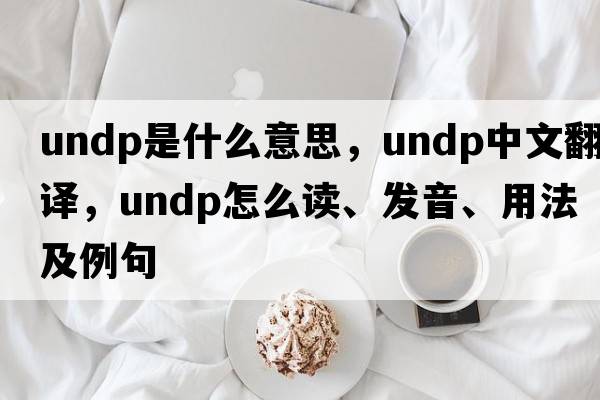 UNDP是什么意思，UNDP中文翻譯，UNDP怎么讀、發(fā)音、用法及例句