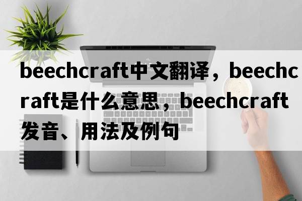 beechcraft中文翻譯，beechcraft是什么意思，beechcraft發(fā)音、用法及例句