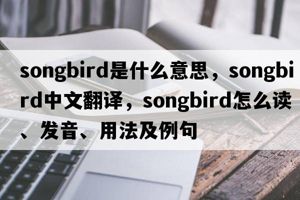songbird是什么意思，songbird中文翻譯，songbird怎么讀、發(fā)音、用法及例句