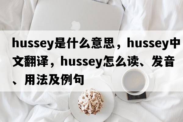 Hussey是什么意思，Hussey中文翻譯，Hussey怎么讀、發(fā)音、用法及例句