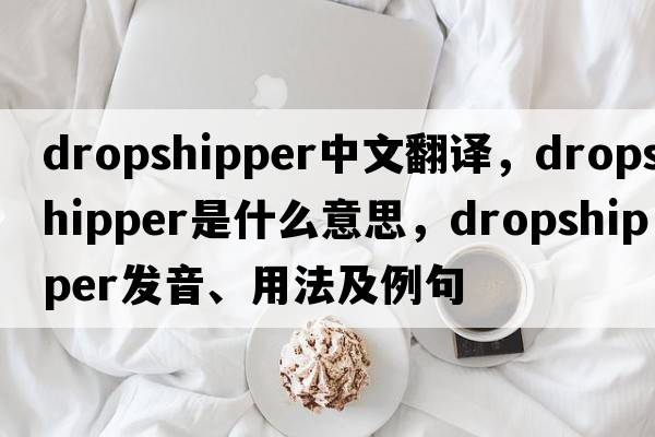 dropshipper中文翻譯，dropshipper是什么意思，dropshipper發(fā)音、用法及例句
