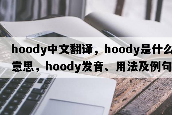 hoody中文翻譯，hoody是什么意思，hoody發(fā)音、用法及例句