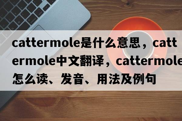 Cattermole是什么意思，Cattermole中文翻譯，Cattermole怎么讀、發(fā)音、用法及例句