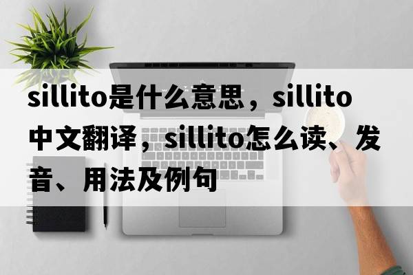 Sillito是什么意思，Sillito中文翻譯，Sillito怎么讀、發(fā)音、用法及例句