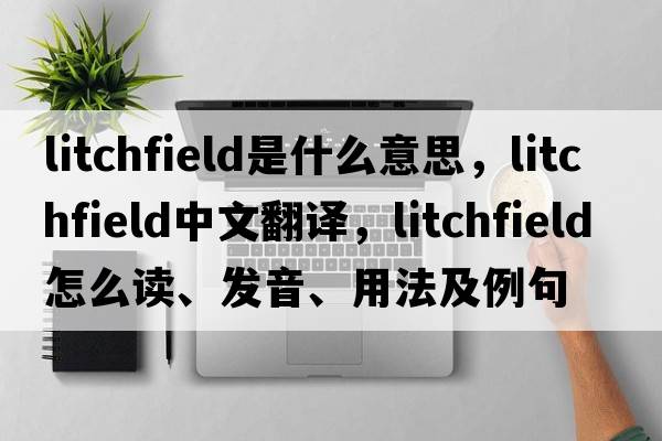 Litchfield是什么意思，Litchfield中文翻譯，Litchfield怎么讀、發(fā)音、用法及例句