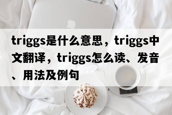 Triggs是什么意思，Triggs中文翻譯，Triggs怎么讀、發(fā)音、用法及例句