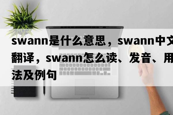 Swann是什么意思，Swann中文翻譯，Swann怎么讀、發(fā)音、用法及例句