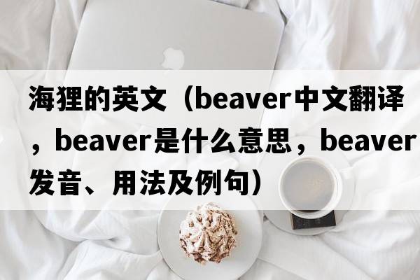 海貍的英文（beaver中文翻譯，beaver是什么意思，beaver發(fā)音、用法及例句）