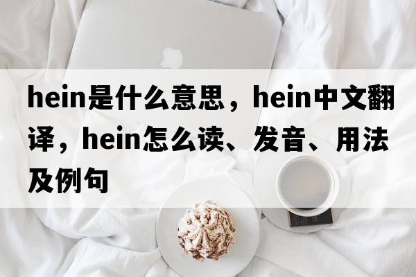 hein是什么意思，hein中文翻譯，hein怎么讀、發(fā)音、用法及例句