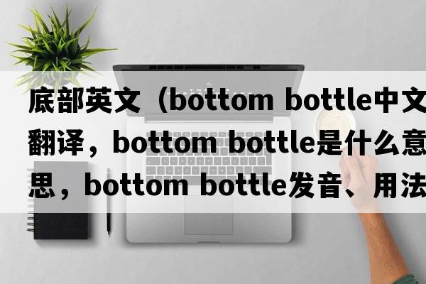 底部英文（bottom bottle中文翻譯，bottom bottle是什么意思，bottom bottle發(fā)音、用法及例句）