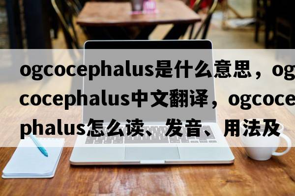 Ogcocephalus是什么意思，Ogcocephalus中文翻譯，Ogcocephalus怎么讀、發(fā)音、用法及例句