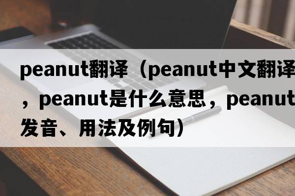 peanut翻譯（peanut中文翻譯，peanut是什么意思，peanut發(fā)音、用法及例句）