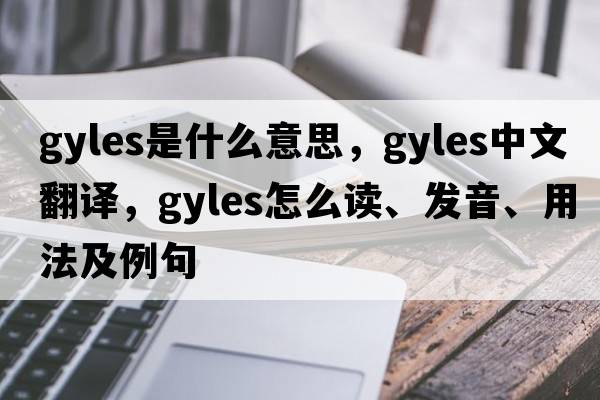 Gyles是什么意思，Gyles中文翻譯，Gyles怎么讀、發(fā)音、用法及例句