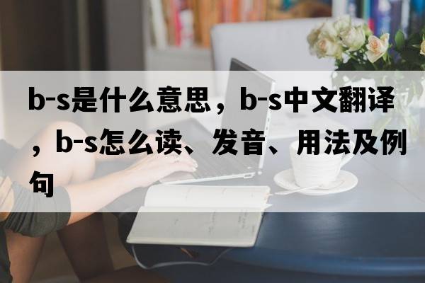 b-S是什么意思，b-S中文翻譯，b-S怎么讀、發(fā)音、用法及例句