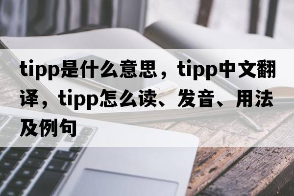 TIPP是什么意思，TIPP中文翻譯，TIPP怎么讀、發(fā)音、用法及例句