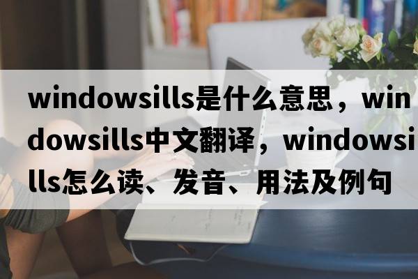windowsills是什么意思，windowsills中文翻譯，windowsills怎么讀、發(fā)音、用法及例句