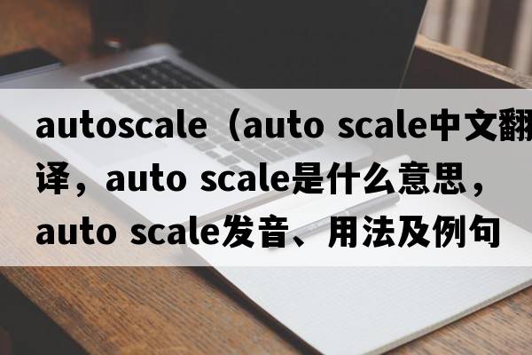 autoscale（auto scale中文翻譯，auto scale是什么意思，auto scale發(fā)音、用法及例句）