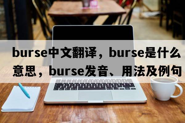 burse中文翻譯，burse是什么意思，burse發(fā)音、用法及例句