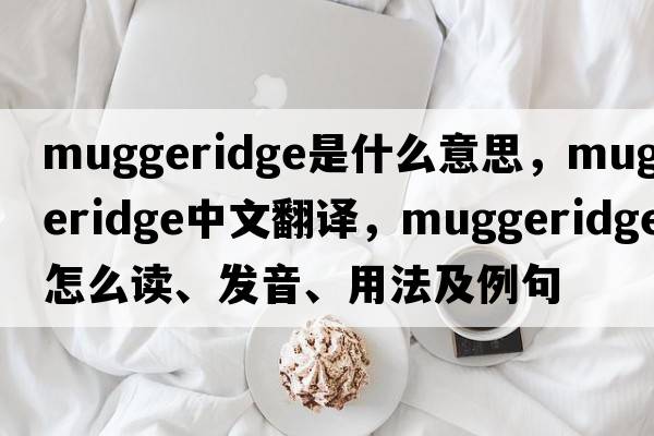Muggeridge是什么意思，Muggeridge中文翻譯，Muggeridge怎么讀、發(fā)音、用法及例句
