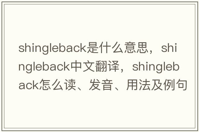 Shingleback是什么意思，Shingleback中文翻譯，Shingleback怎么讀、發(fā)音、用法及例句