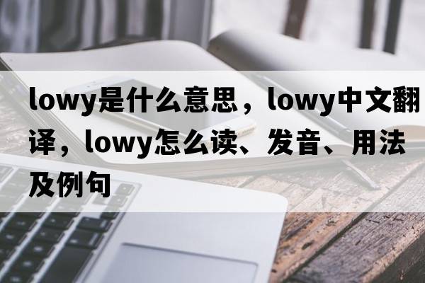 Lowy是什么意思，Lowy中文翻譯，Lowy怎么讀、發(fā)音、用法及例句