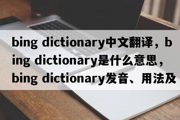 bing dictionary中文翻譯，bing dictionary是什么意思，bing dictionary發(fā)音、用法及例句