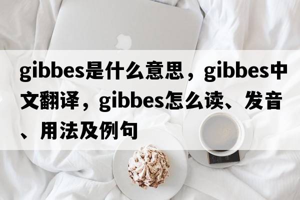Gibbes是什么意思，Gibbes中文翻譯，Gibbes怎么讀、發(fā)音、用法及例句