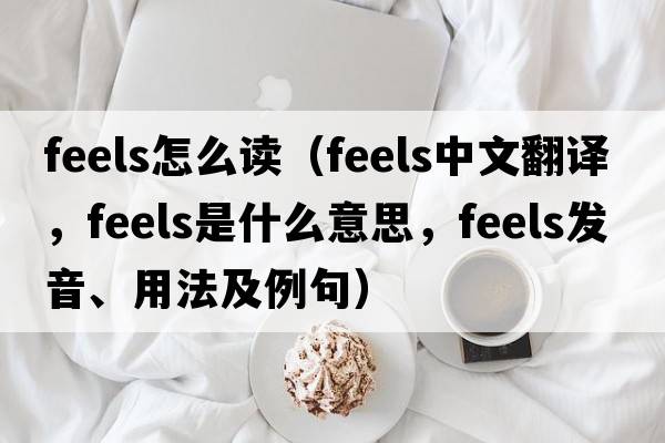 feels怎么讀（feels中文翻譯，feels是什么意思，feels發(fā)音、用法及例句）