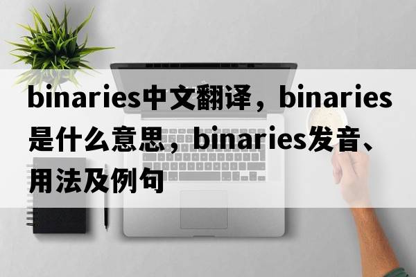 binaries中文翻譯，binaries是什么意思，binaries發(fā)音、用法及例句