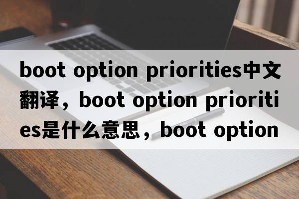 boot option priorities中文翻譯，boot option priorities是什么意思，boot option priorities發(fā)音、用法及例句