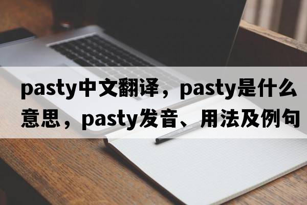 pasty中文翻譯，pasty是什么意思，pasty發(fā)音、用法及例句