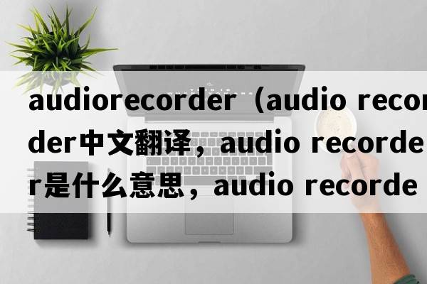 audiorecorder（audio recorder中文翻譯，audio recorder是什么意思，audio recorder發(fā)音、用法及例句）
