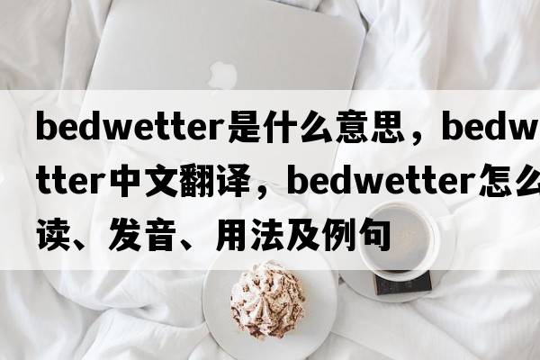bedwetter是什么意思，bedwetter中文翻譯，bedwetter怎么讀、發(fā)音、用法及例句