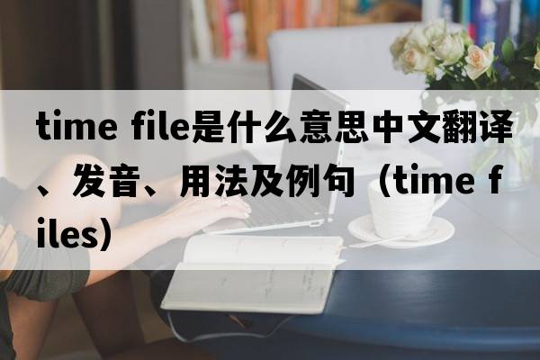 time file是什么意思中文翻譯、發(fā)音、用法及例句（time files）