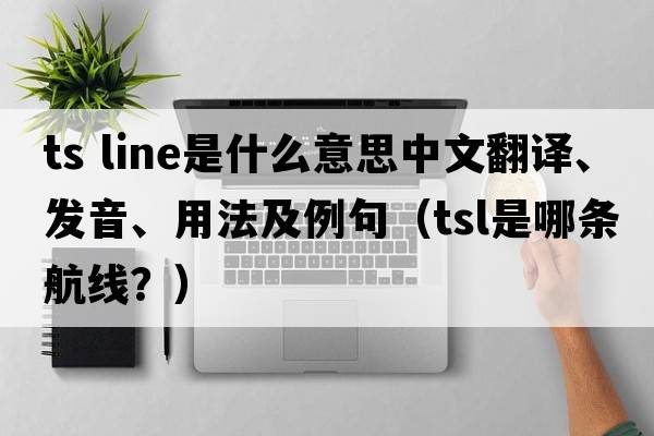 ts line是什么意思中文翻譯、發(fā)音、用法及例句（tsl是哪條航線？）