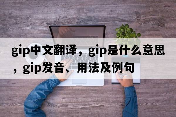 gip中文翻譯，gip是什么意思，gip發(fā)音、用法及例句