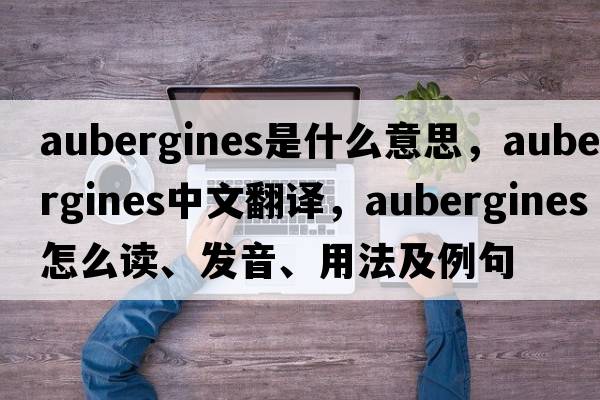 aubergines是什么意思，aubergines中文翻譯，aubergines怎么讀、發(fā)音、用法及例句