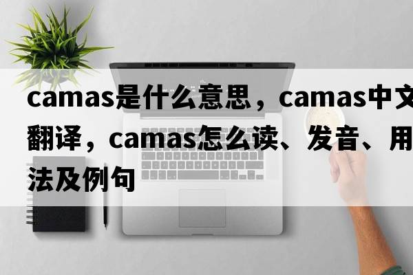 camas是什么意思，camas中文翻譯，camas怎么讀、發(fā)音、用法及例句