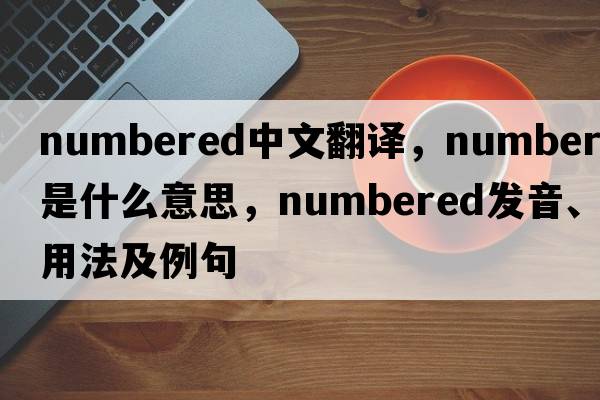 numbered中文翻譯，numbered是什么意思，numbered發(fā)音、用法及例句