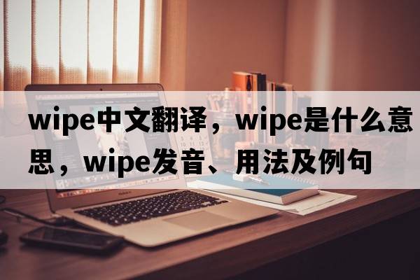 wipe中文翻譯，wipe是什么意思，wipe發(fā)音、用法及例句