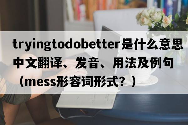 tryingtodobetter是什么意思中文翻譯、發(fā)音、用法及例句（mess形容詞形式？）