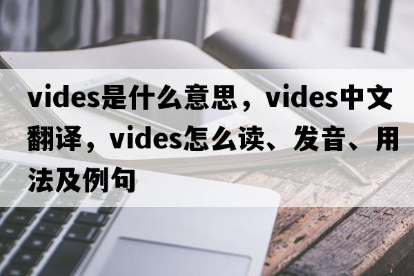 vides是什么意思，vides中文翻譯，vides怎么讀、發(fā)音、用法及例句