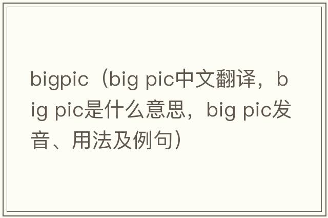 bigpic（big pic中文翻譯，big pic是什么意思，big pic發(fā)音、用法及例句）