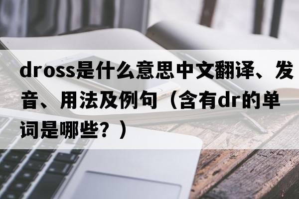 dross是什么意思中文翻譯、發(fā)音、用法及例句（含有dr的單詞是哪些？）