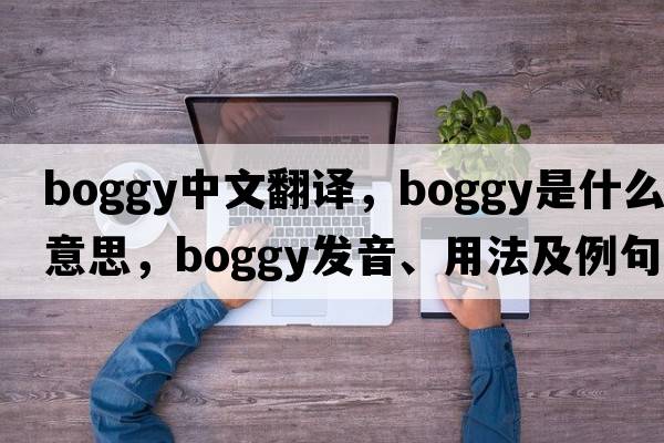 boggy中文翻譯，boggy是什么意思，boggy發(fā)音、用法及例句