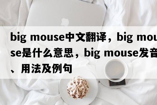 big mouse中文翻譯，big mouse是什么意思，big mouse發(fā)音、用法及例句
