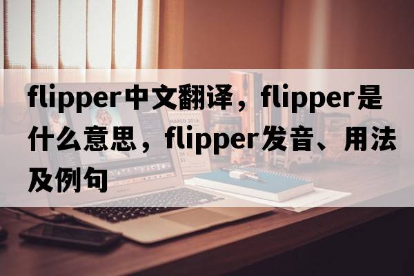 flipper中文翻譯，flipper是什么意思，flipper發(fā)音、用法及例句