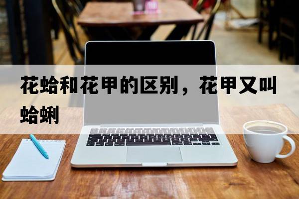 花蛤和花甲的區(qū)別，花甲又叫蛤蜊